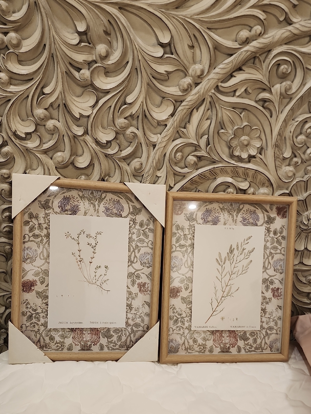 Botanical Print Wall Art Set in Tan Wood Frames